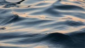 dynava_contact_center_nordic_sea